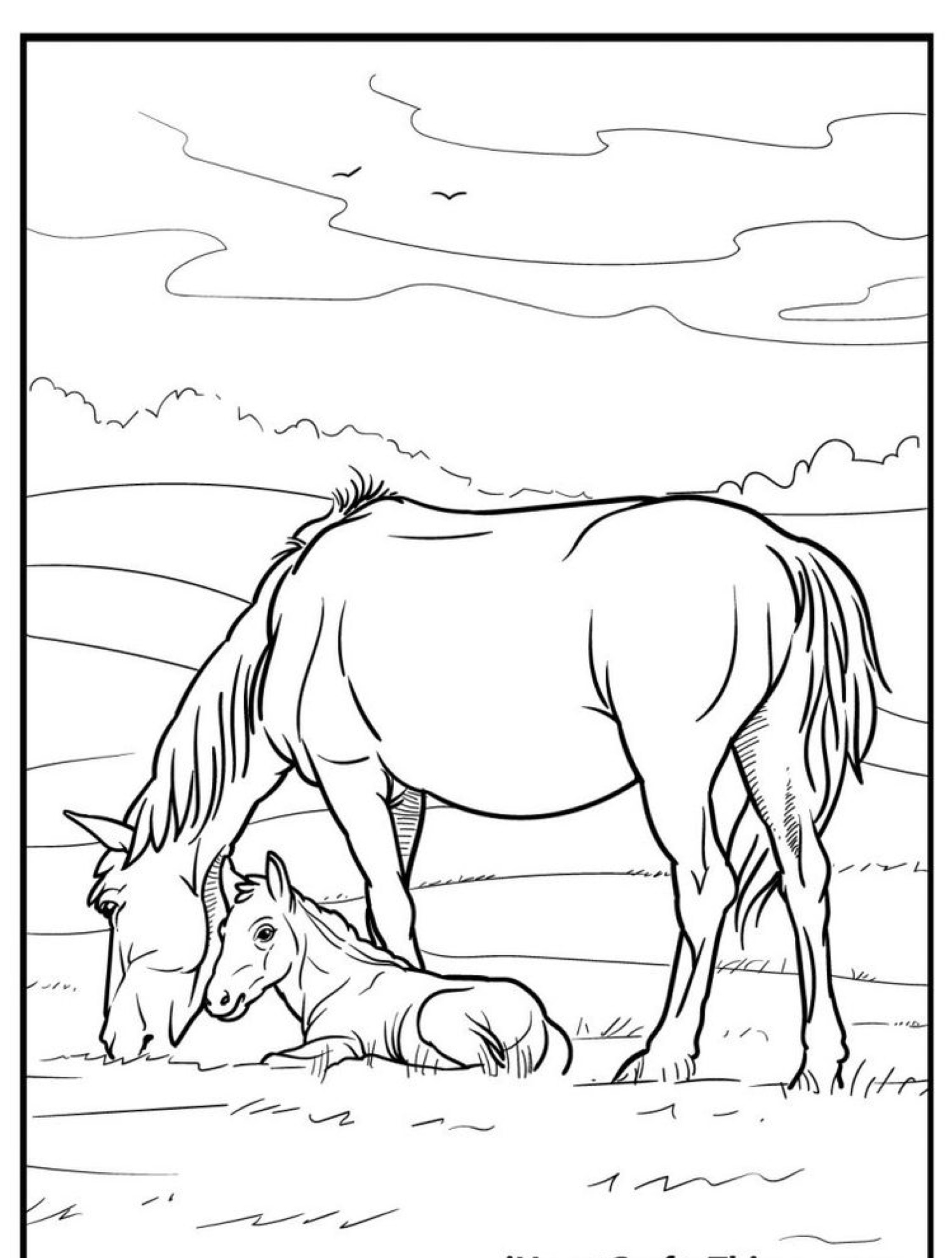 Um cavalo em pé enquanto um potro deitado descansa a cabeça no chão em um campo gramado sob um céu parcialmente nublado, perfeito para quem procura um desenho de cavalo para colorir.