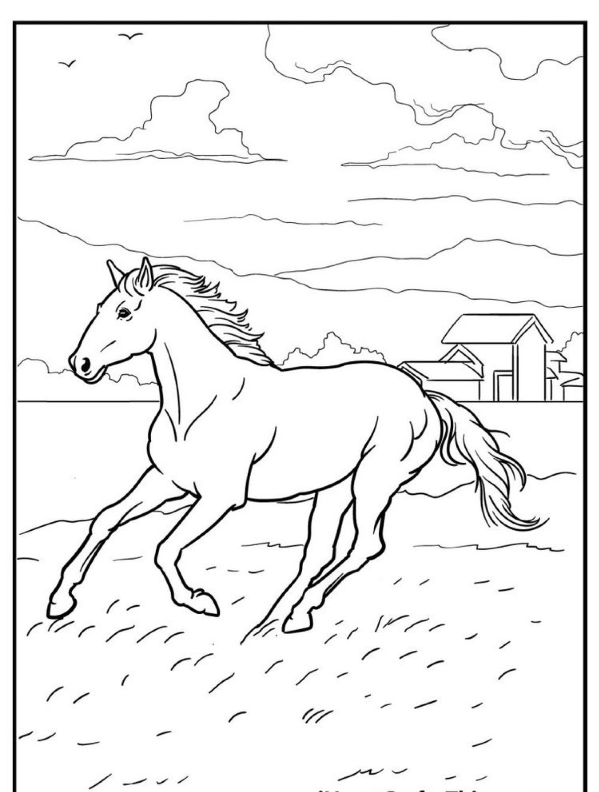 Um cavalo galopa por um campo gramado com uma casa e nuvens ao fundo, parecendo um desenho animado pronto para ser pintado.