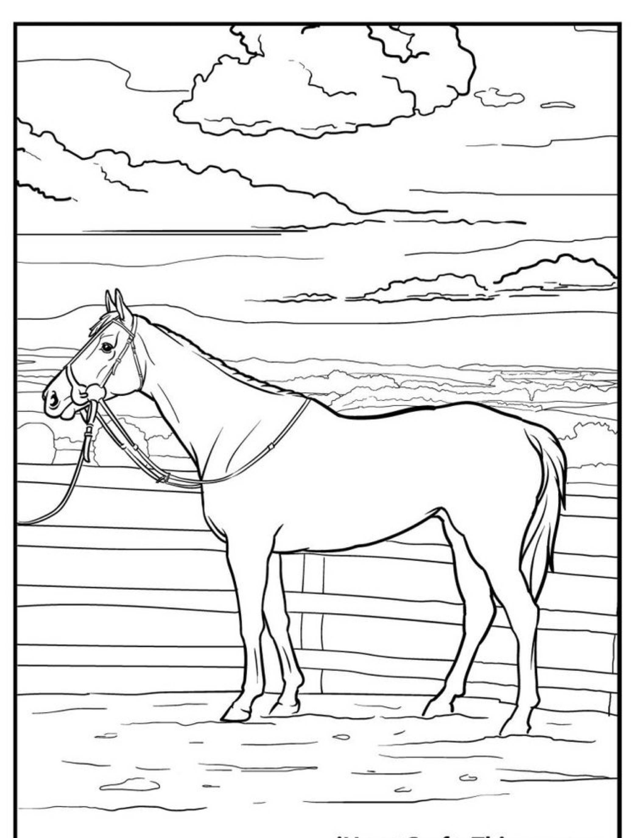 Desenho de cavalo em preto e branco perto de uma cerca com um céu nublado ao fundo, perfeito para uma atividade de cavalo para colorir.