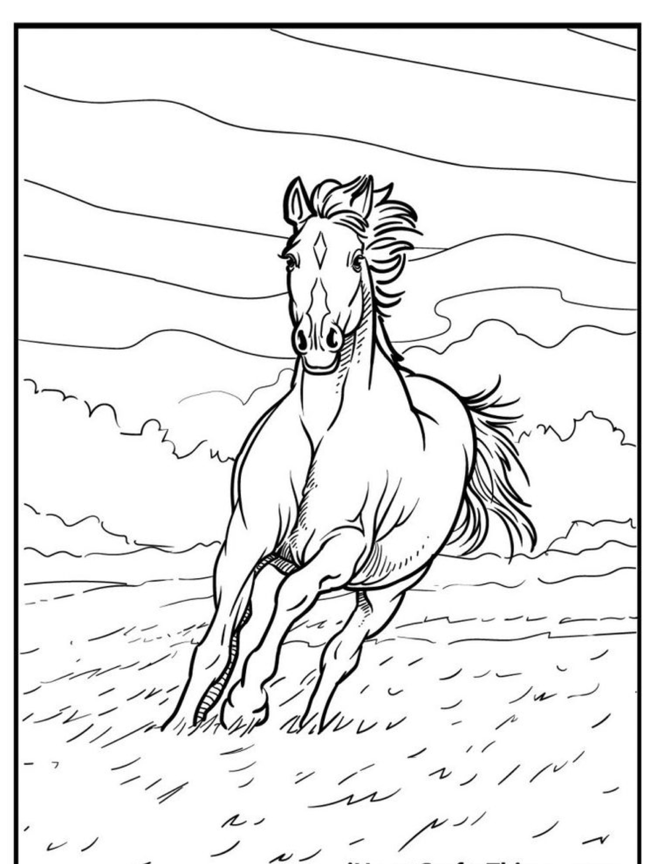 Um cavalo corre energicamente por um campo aberto, tendo como pano de fundo um fundo dinâmico de nuvens e céu, como um cativante desenho de cavalo para colorir.