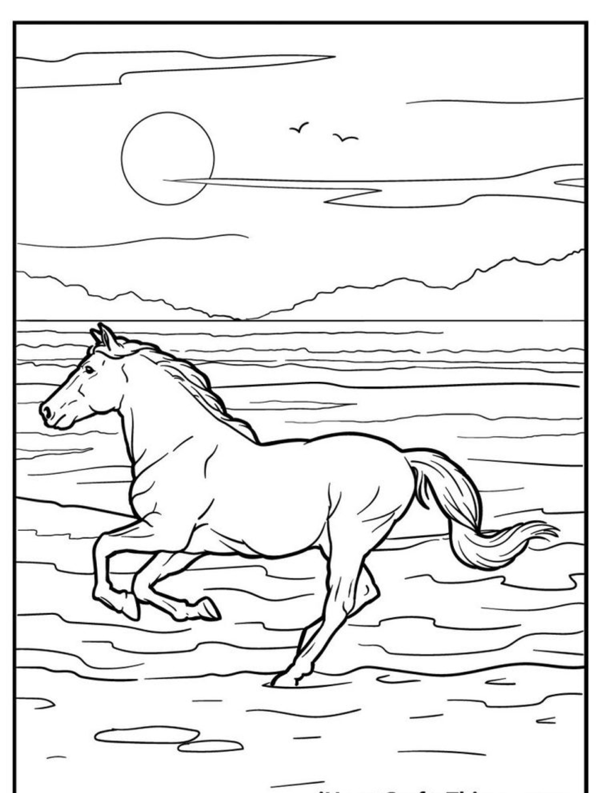 Um cavalo corre na praia com o oceano ao fundo, sob o sol poente e pássaros voando, criando uma cena que parece ter saído de um desenho pronto para ser pintado.