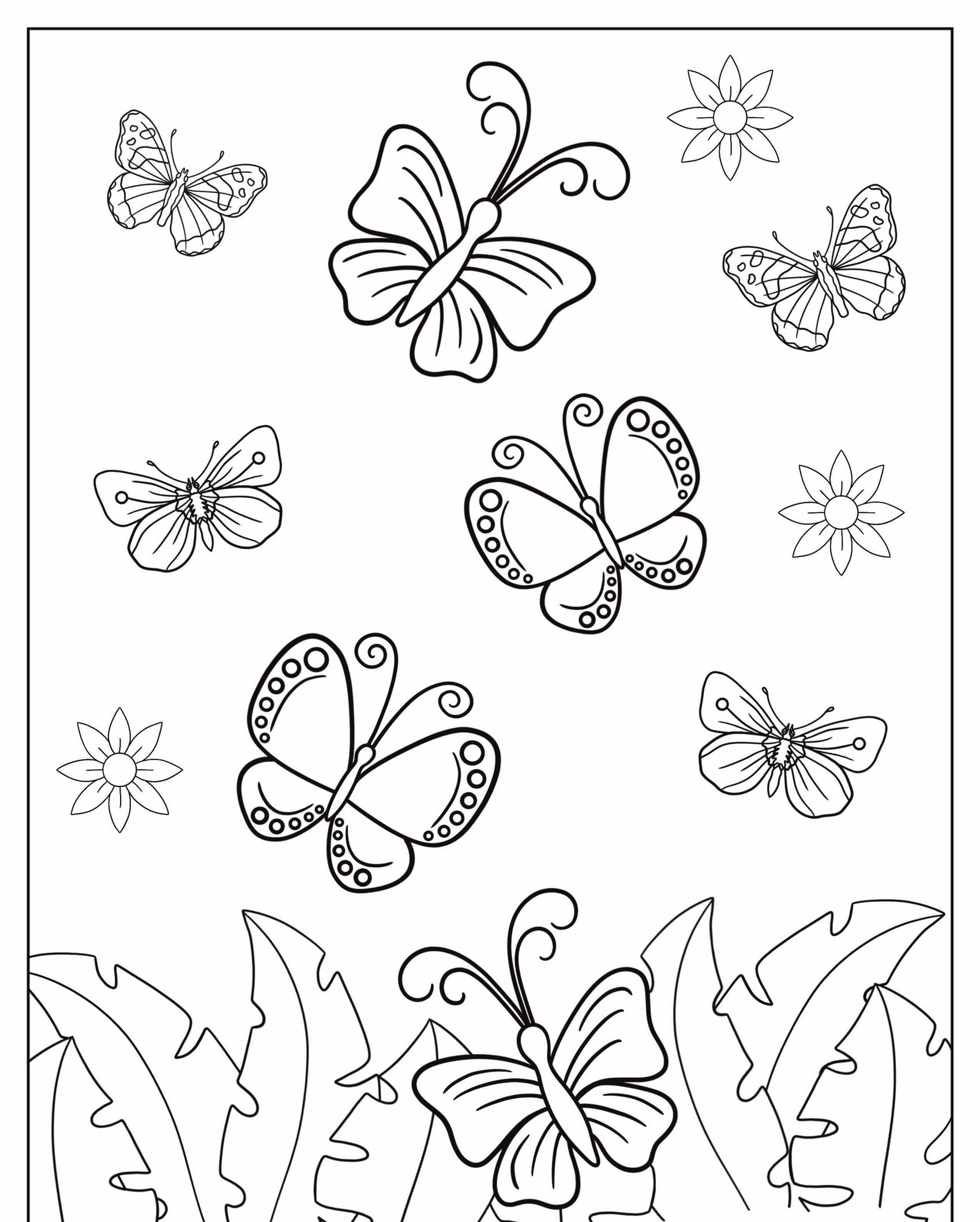 Desenho para colorir com borboletas, flores e folhas, onde algumas borboletas estão em voo enquanto outras descansam. Para Colorir.