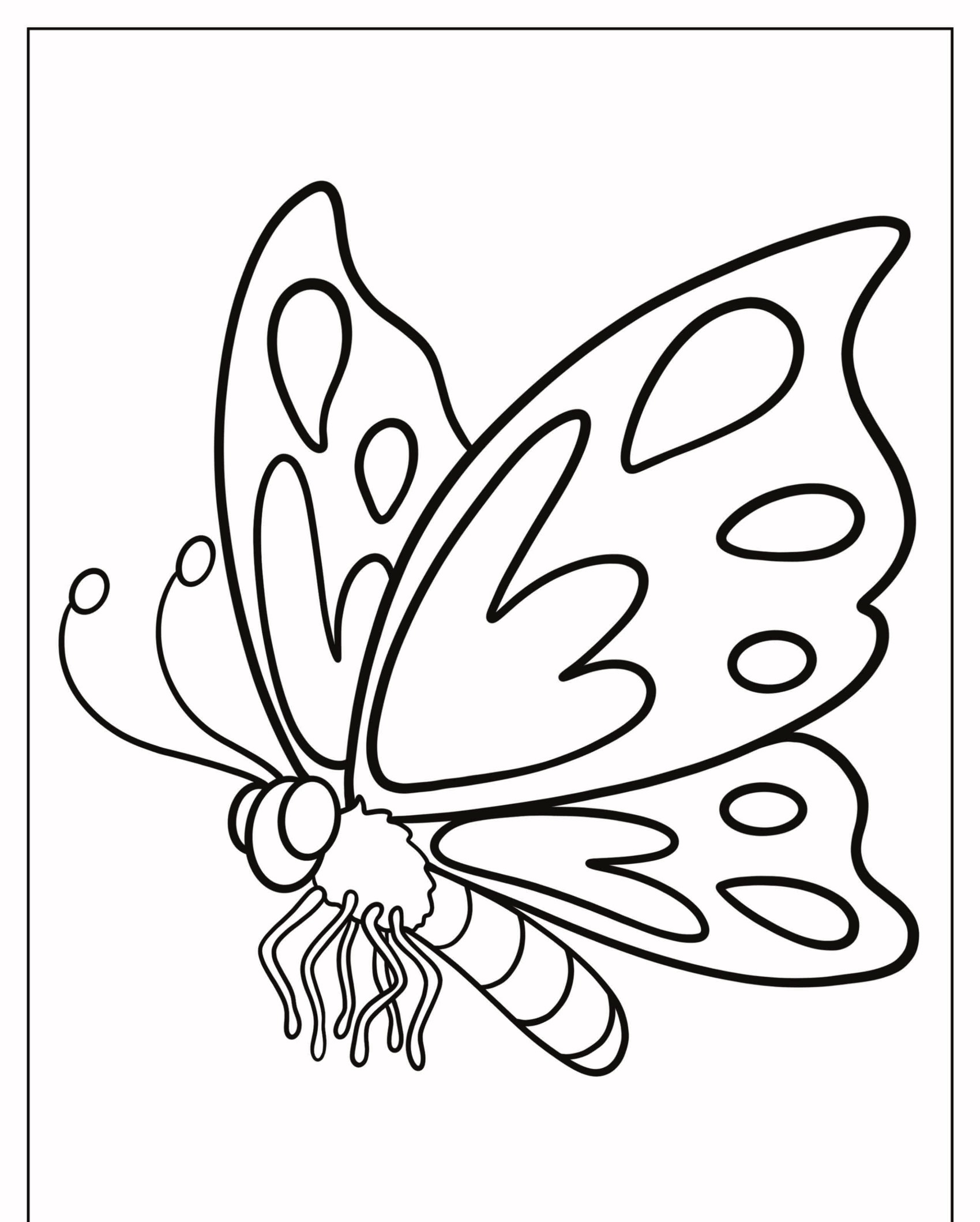 Desenho de uma borboleta com asas grandes adornadas por diversos padrões, apresentado em um estilo de livro para colorir. Para Colorir.