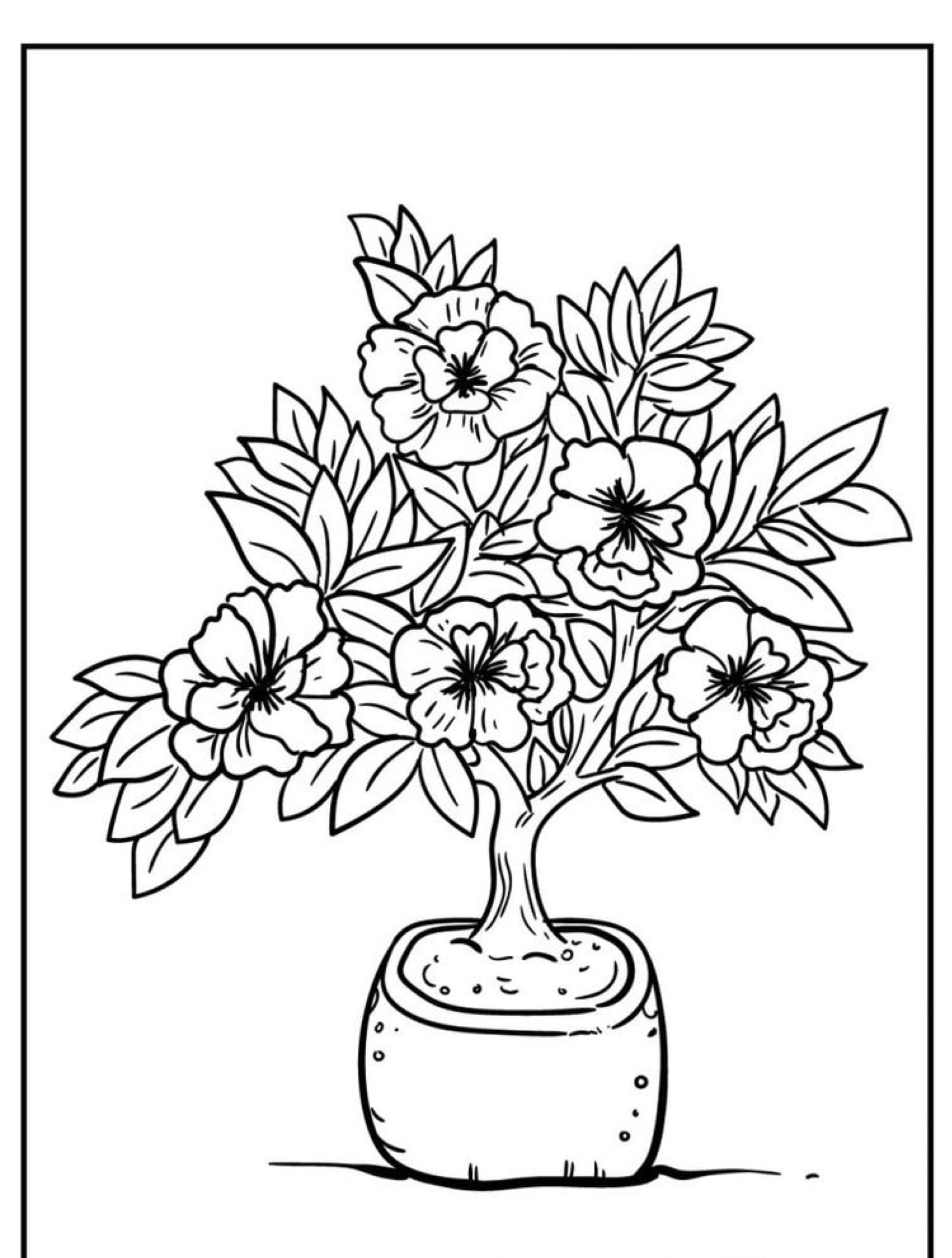 Ilustração em preto e branco de uma planta com flores de cinco pétalas em um vaso pequeno, ideal para colorir.