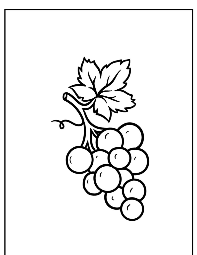 Um desenho simples de um cacho de uvas com uma folha no topo, perfeito para desenhos para colorir.