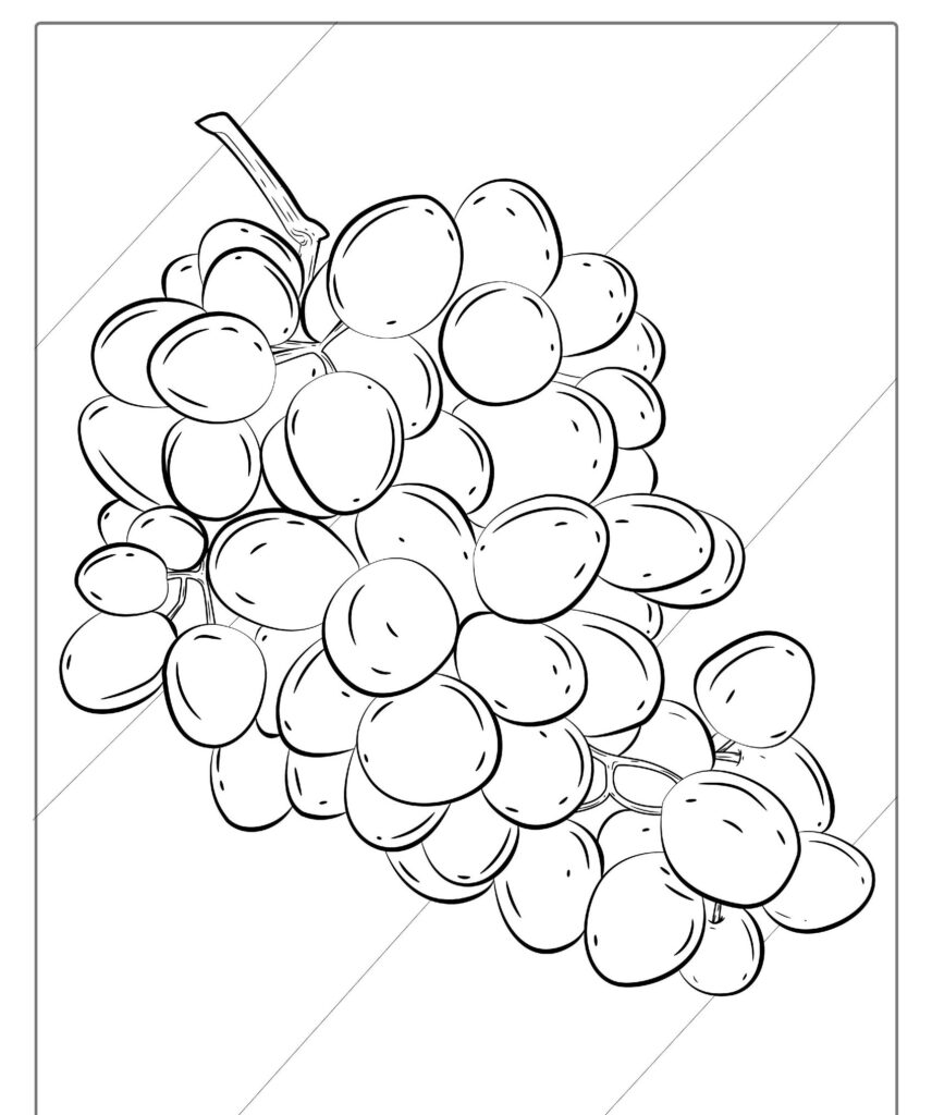 Um desenho em preto e branco de um monte de frutas pendurado em um caule, perfeito para colorir.