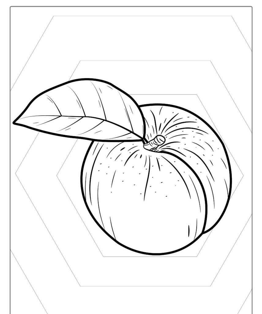 Desenho de frutas em linha de um pêssego com uma única folha, ambientado contra um fundo hexagonal, perfeito para colorir ou imprimir.