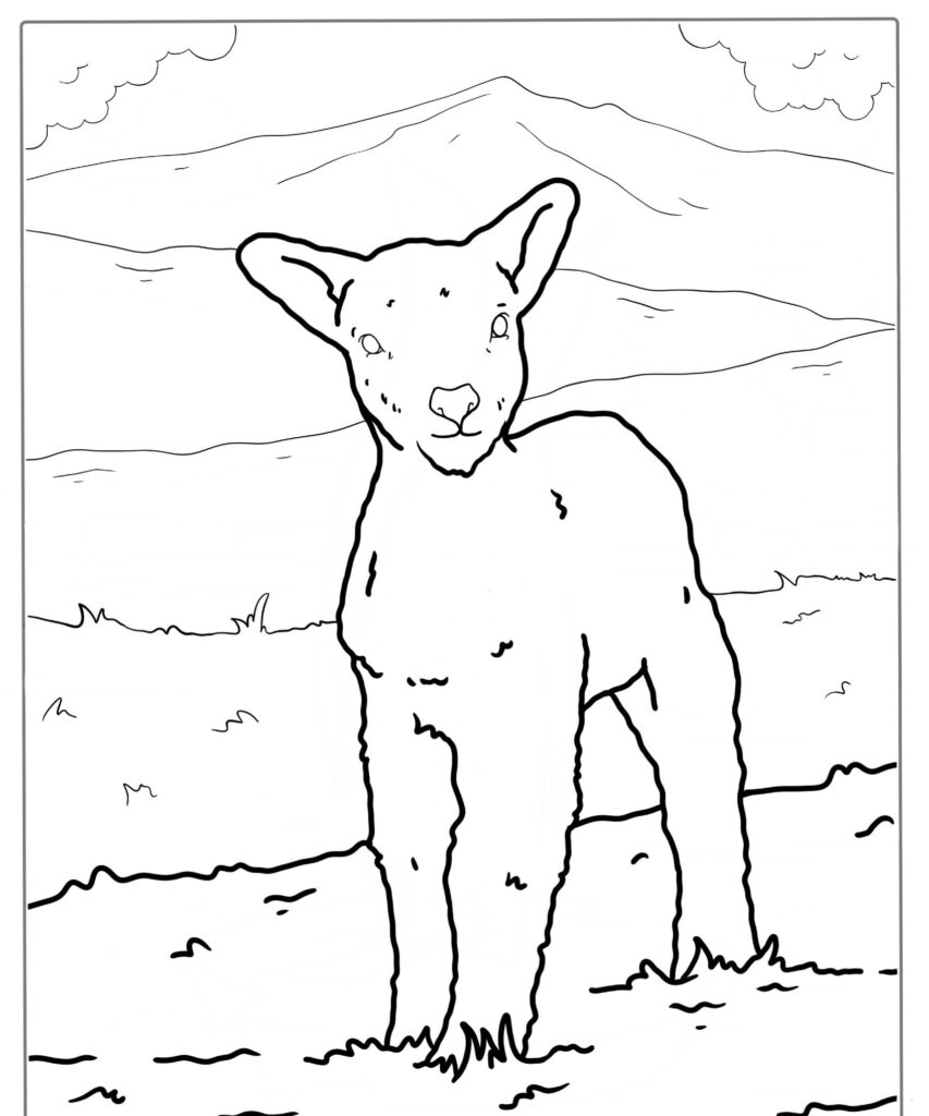 Desenho para colorir de uma ovelha em pé em um campo gramado com montanhas ao fundo.