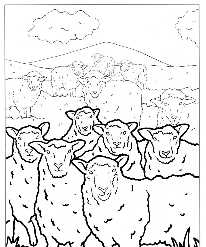 Desenho de um bando de ovelhas em um campo gramado com colinas e nuvens ao fundo, perfeito para colorir.