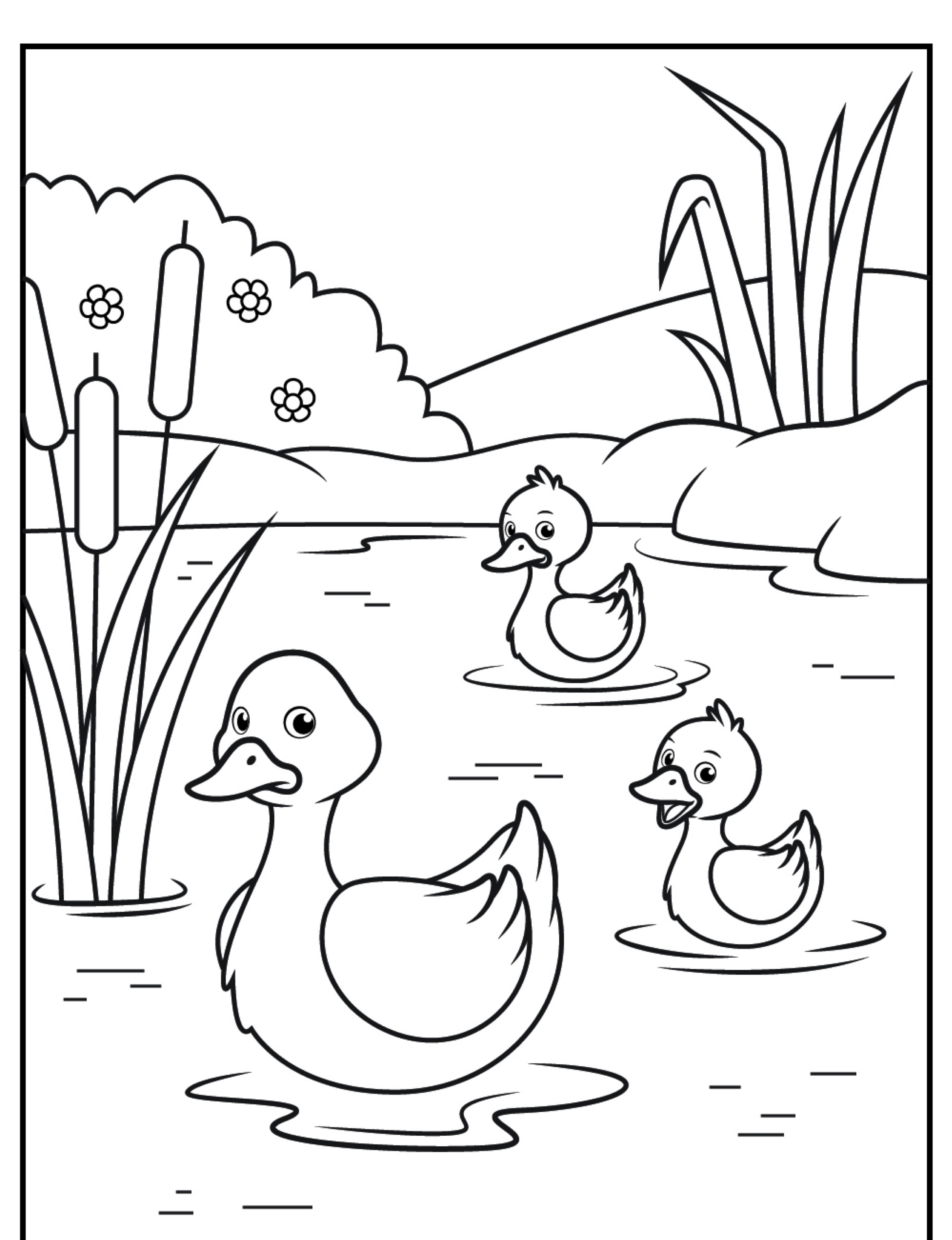 Três patos desenhados nadando em um lago com taboas e flores na margem ao fundo, ilustrados em um charmoso estilo de livro de colorir.