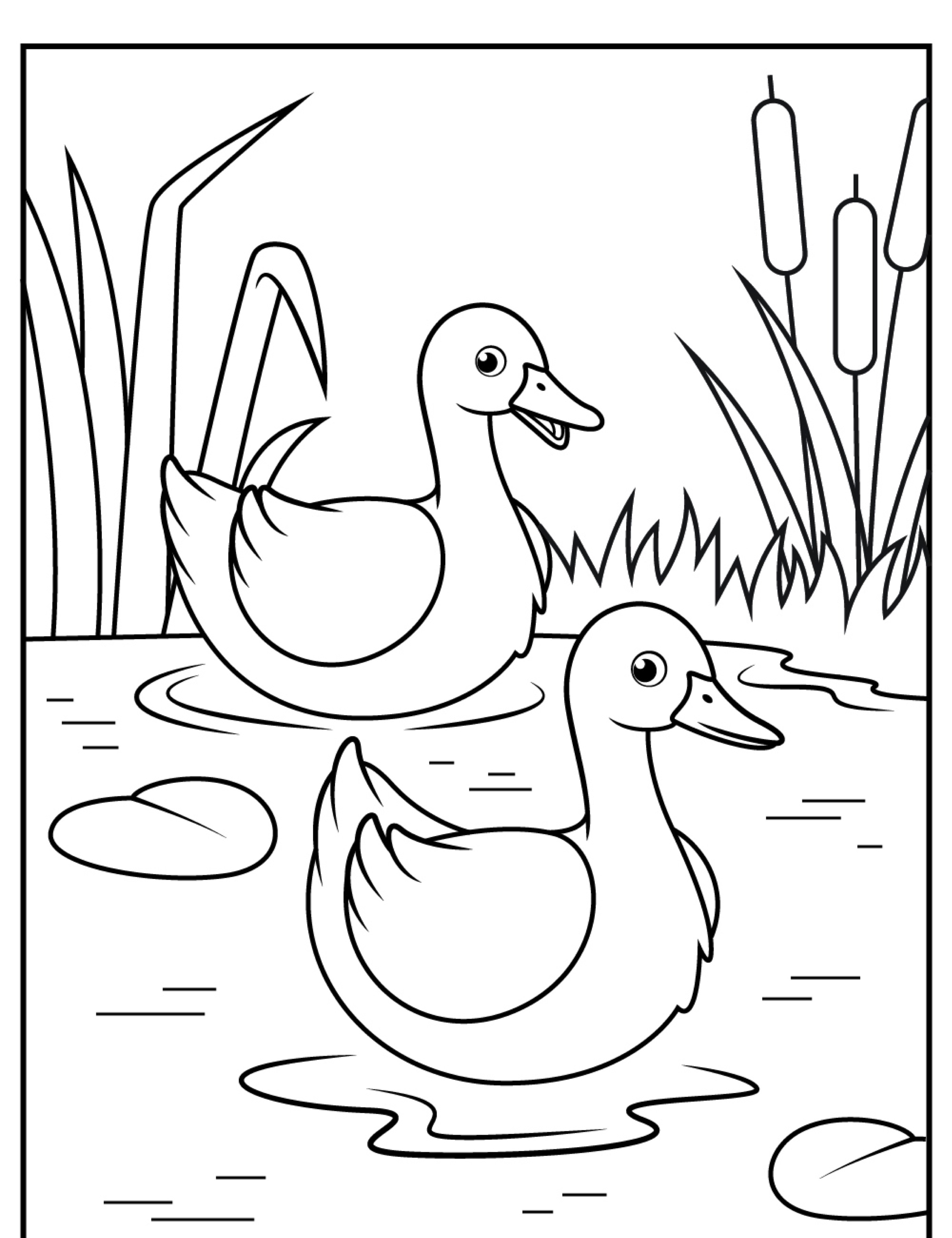 Uma ilustração simples em preto e branco de dois patos nadando em um lago com juncos e taboas ao fundo; perfeita para Patos para colorir.