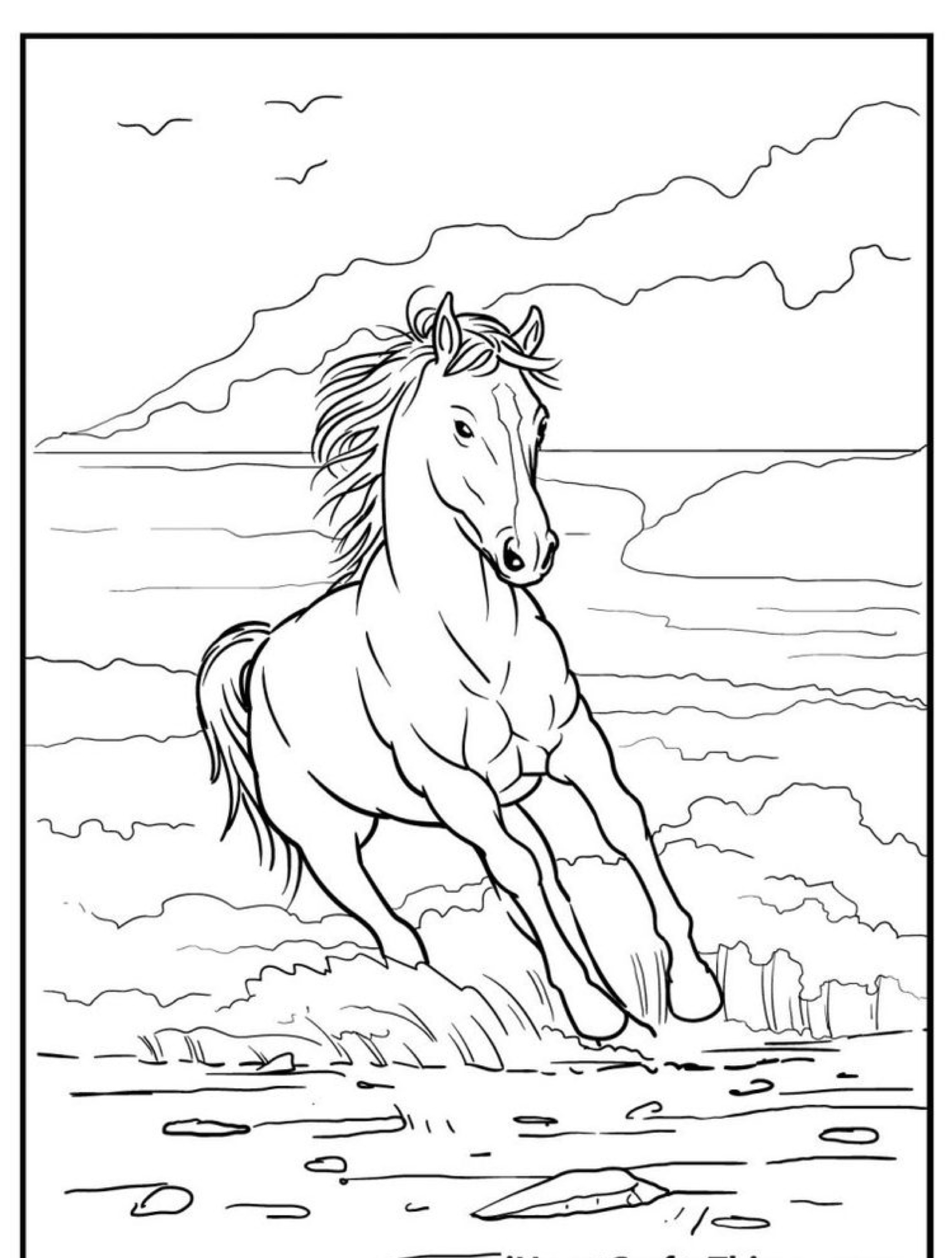 Desenho de um cavalo para colorir correndo na água com montanhas e nuvens ao fundo.