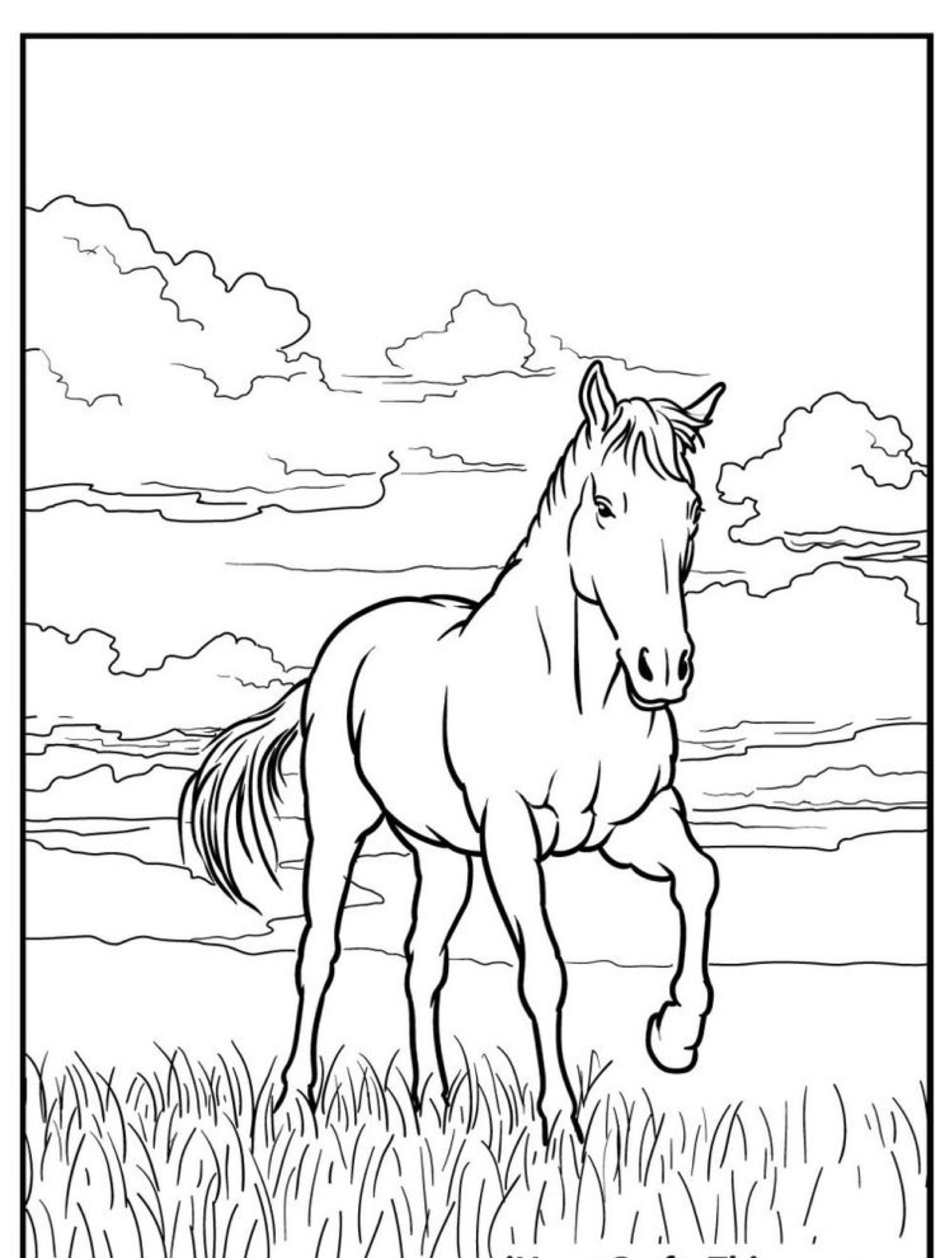 Desenho de um cavalo parado em um campo gramado com nuvens no céu, perfeito para colorir.