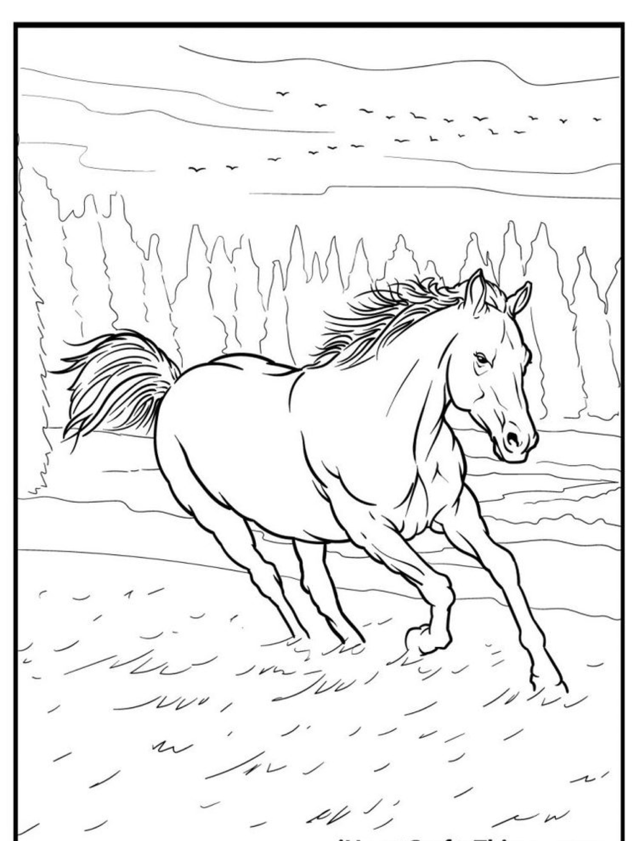 Desenho de contorno de um cavalo correndo em um campo aberto com árvores e pássaros ao fundo, perfeito para colorir.