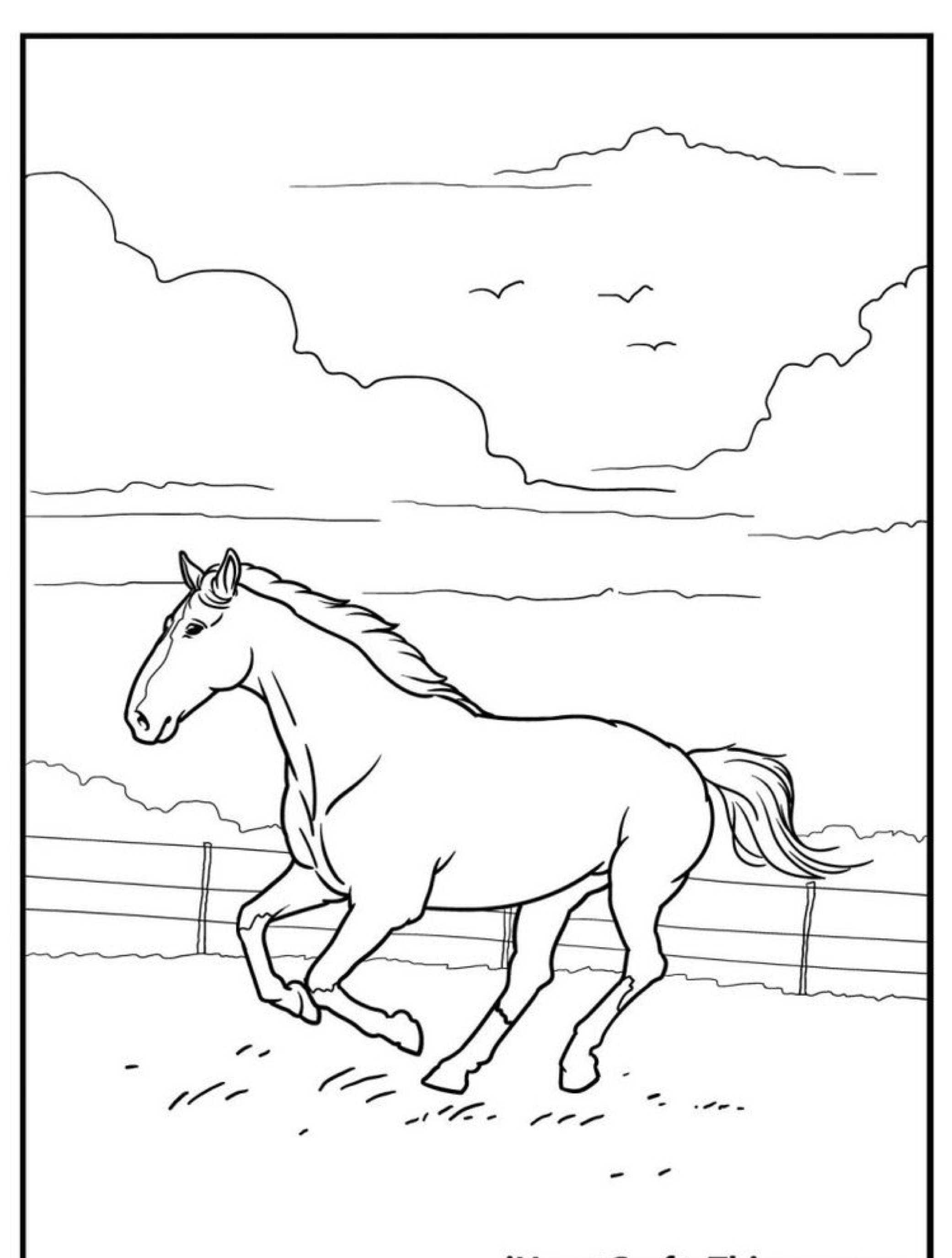 Um cavalo correndo em um campo aberto com uma cerca ao fundo e pássaros voando em um céu nublado parece um desenho de cavalo perfeito para colorir.