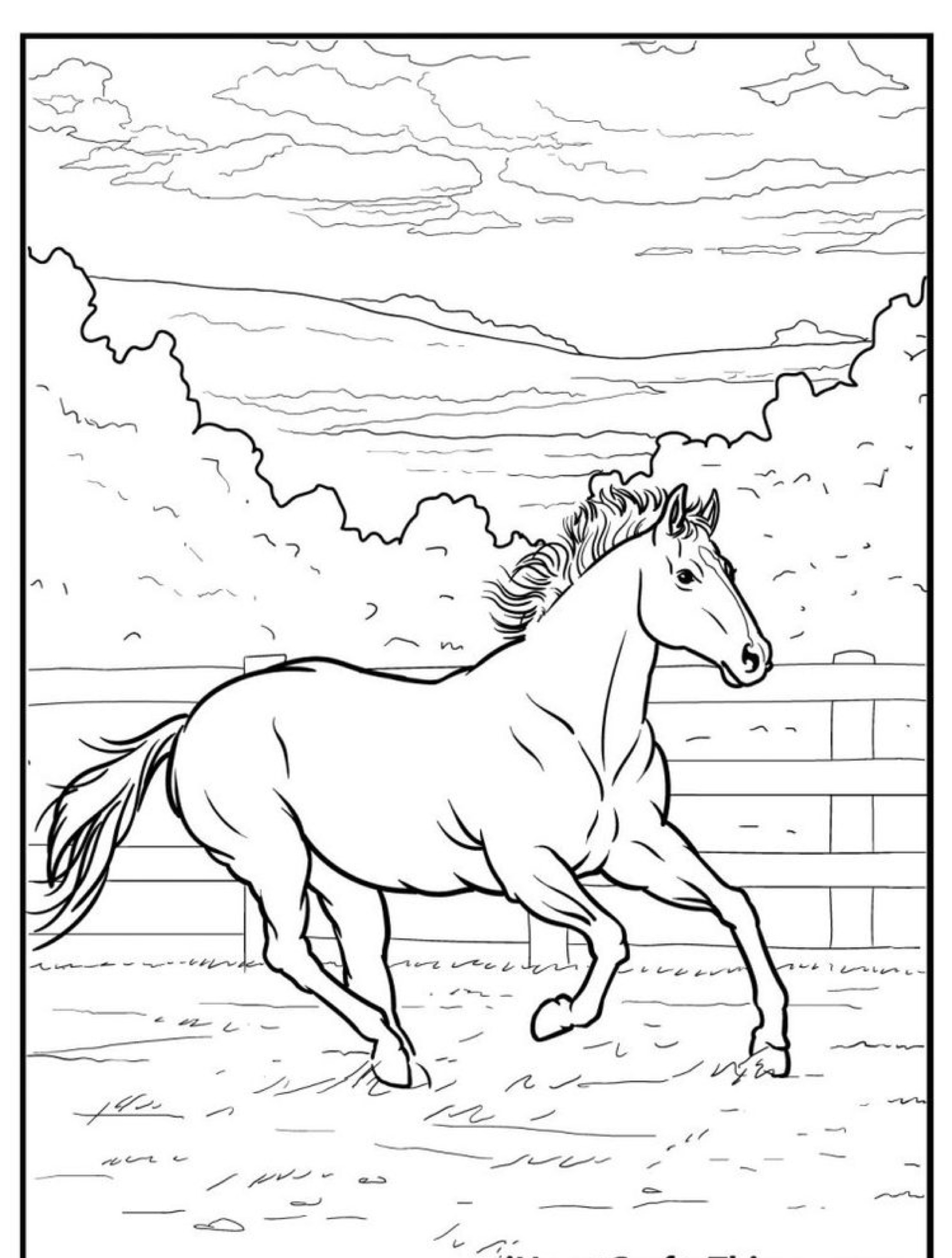 Um cavalo galopa em um campo cercado com árvores e um céu nublado ao fundo, lembrando um animado desenho de cavalo, perfeito para quem busca um cavalo para colorir.