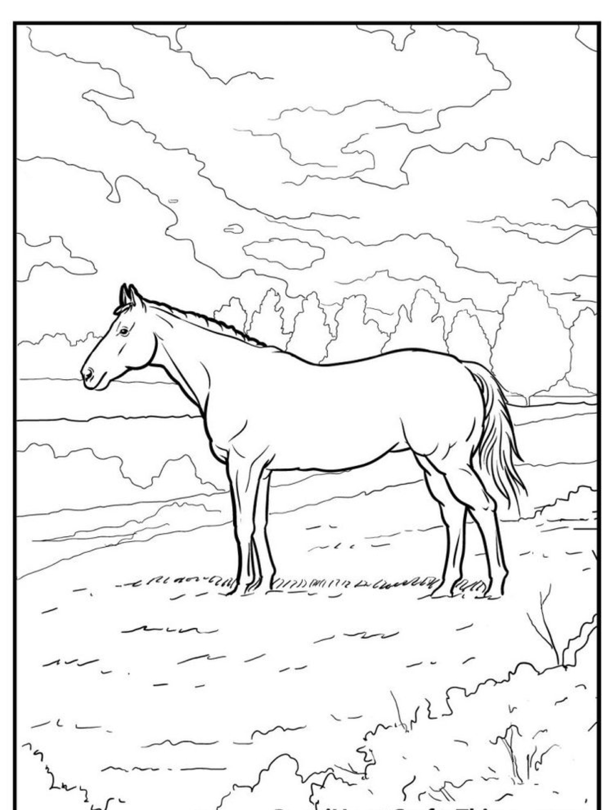 Um desenho de cavalo em preto e branco em um campo com um fundo de árvores e um céu nublado, perfeito como uma atividade de cavalo para colorir.