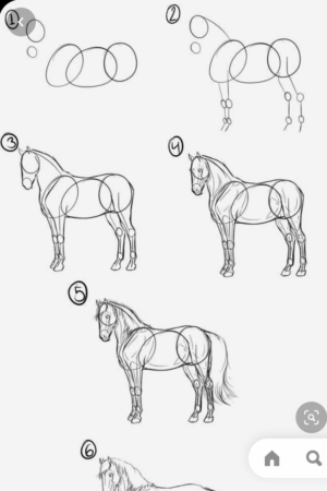 Guia passo a passo para desenhar um cavalo, mostrando estágios progressivos de formas básicas a anatomia detalhada em seis etapas. Ideal para quem procura Desenhos faceis ou uma abordagem passo a passo direta.