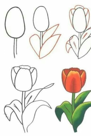 Ilustração passo a passo de desenhos faciais, desenhando uma tulipa, começando com formas básicas e progredindo até uma flor totalmente colorida.