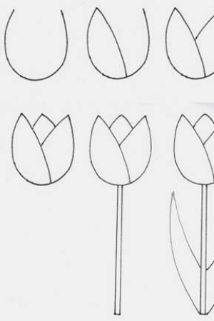 Guia de desenho passo a passo mostrando a progressão do esboço de uma flor de tulipa simples com um caule e folhas. Ideal para quem procura desenho fácil, este tutorial fornece instruções claras, passo a passo, para ajudar você a criar sua própria arte floral linda.