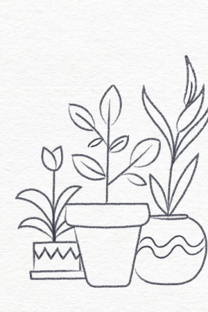 Desenho em preto e branco de três plantas em vasos com diferentes formatos de folhas em um fundo texturizado, desenho fácil perfeito para fazer no tédio. Para colorir.