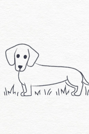 Desenho simples de um dachshund em pé na grama, virado para a esquerda. Perfeito para quem procura desenhos fáceis de fazer no tédio. Para Desenhar.