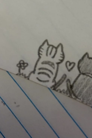 Dois gatos desenhados sentados lado a lado com um coração entre eles; um malhado e um sólido, com flores ao redor. Um exemplo perfeito de um desenho fofo. Para desenhar.