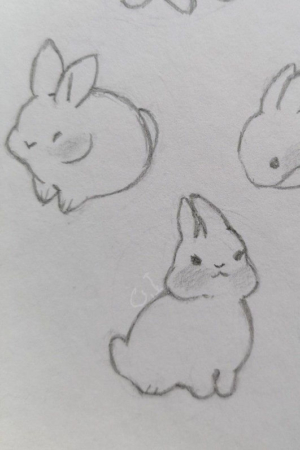 Esboços de quatro coelhinhos fofos em poses diferentes, desenhados em um fundo de papel branco. Esses desenhos capturam o charme e a brincadeira de cada coelhinho, perfeitos para quem ama desenhar criaturas adoráveis.