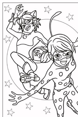 Dois personagens em trajes de super-heróis, um com tema de gato e o outro com tema de bolinhas inspirado em Lady Bug, fazem uma pose de ação. Perfeito para Desenhos Para Colorir ou entusiastas de Coloring Pages que buscam adicionar um toque vibrante! Para colorir.