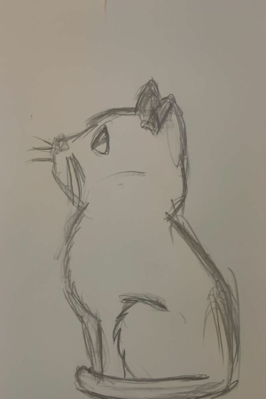 Um esboço a lápis de um gato sentado, desenhado de perfil em uma página de caderno, com atenção às suas características faciais e textura do pelo. Para desenhar.