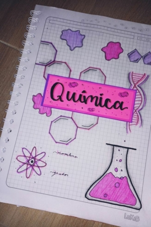 A capa do caderno de ciências exibe "Química" junto com desenhos de moléculas, DNA, um átomo e um frasco.