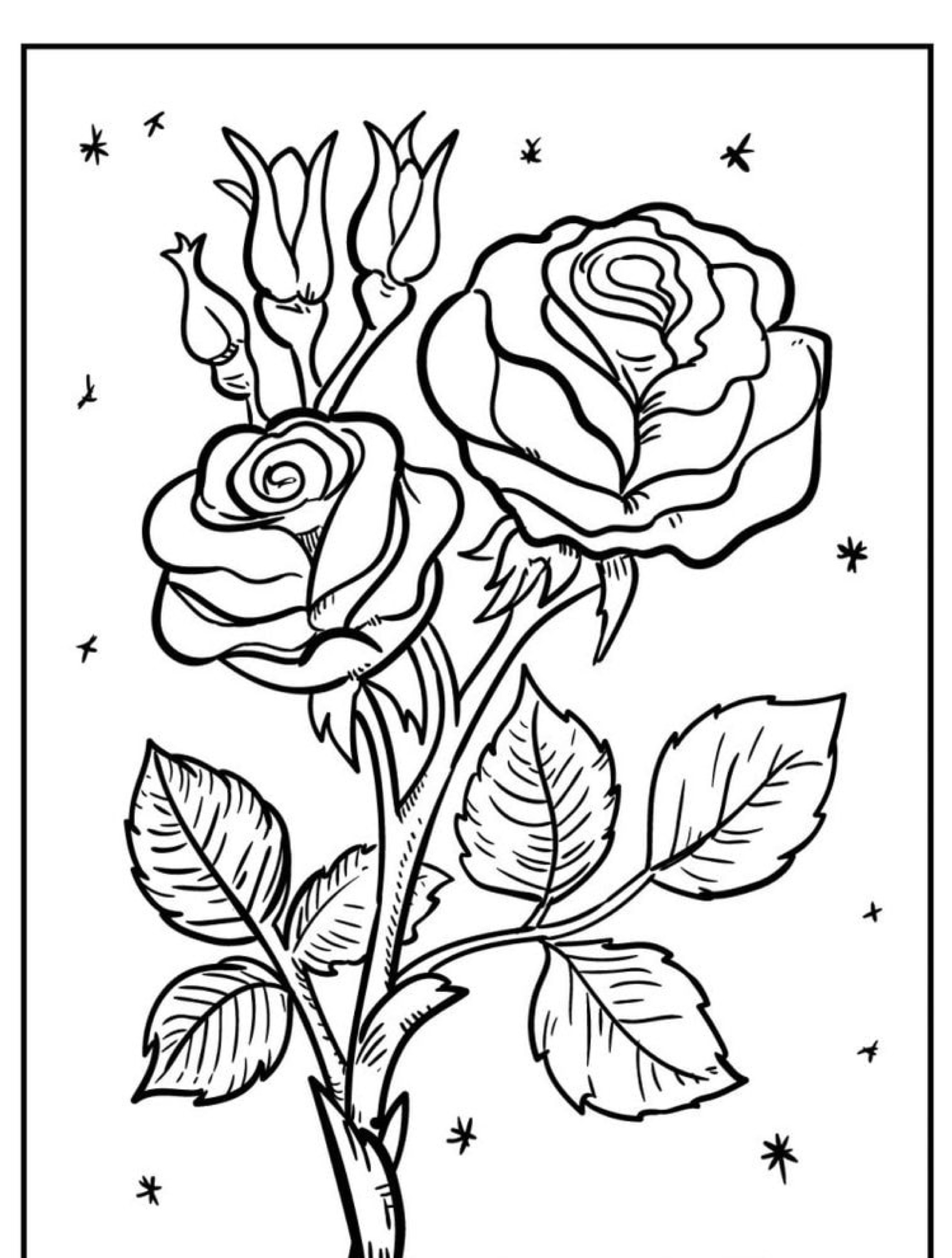 Desenho de linha de um caule com duas rosas florescendo e várias folhas, perfeito para colorir. Pequenas estrelas estão espalhadas no fundo, tornando-o ideal para imprimir em um projeto criativo.