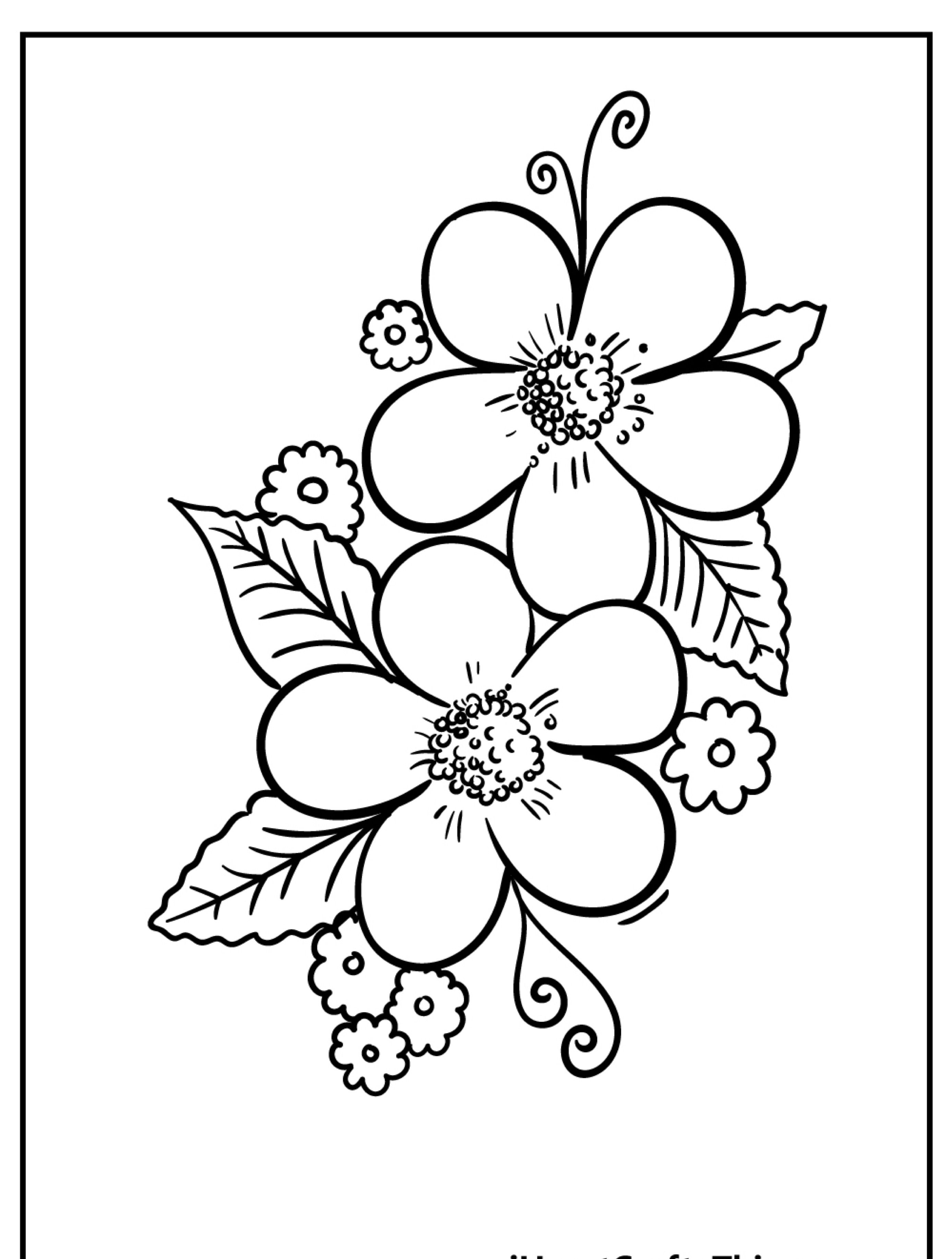 Desenho de duas flores grandes com várias flores e folhas menores, dentro de uma borda retangular, ideal para imprimir e colorir.