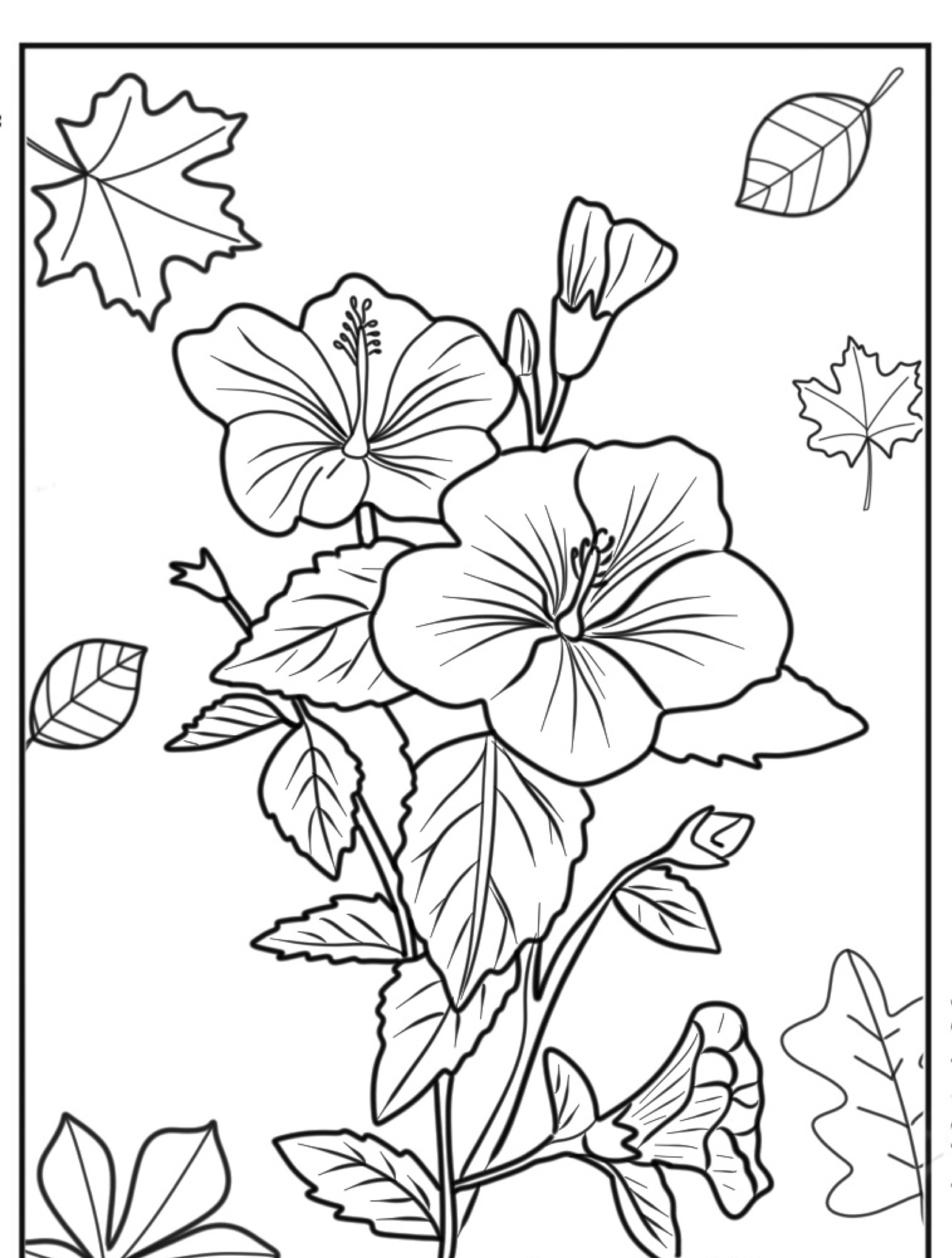 Desenho em preto e branco de flores de hibisco com folhas espalhadas ao redor delas, desenho de flores perfeito para colorir ou imprimir.