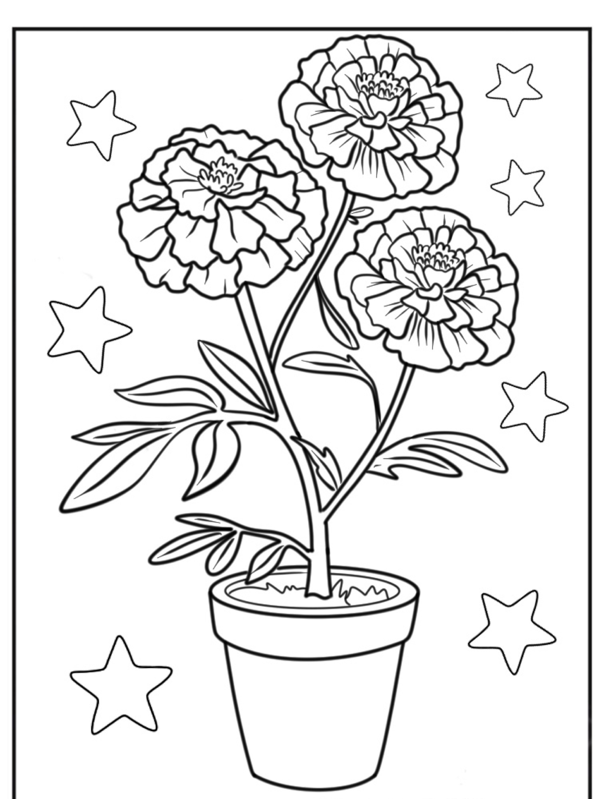 Três flores em um vaso com cinco estrelas ao redor, todas em estilo de arte linear em preto e branco, perfeitas para flores para colorir.