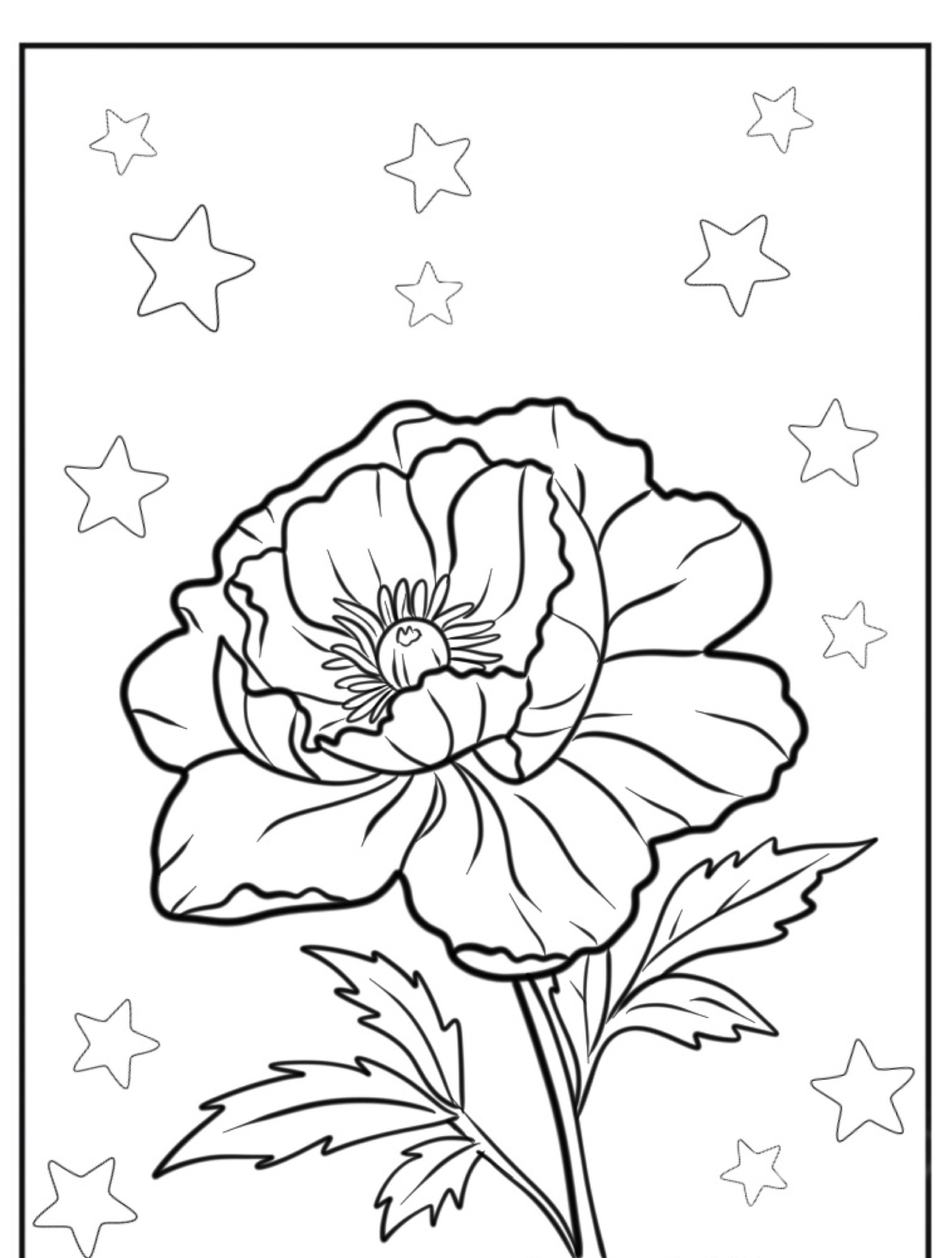 Uma página para colorir para imprimir, com uma rosa desabrochando com estrelas ao redor no fundo, perfeita para quem gosta de colorir flores.