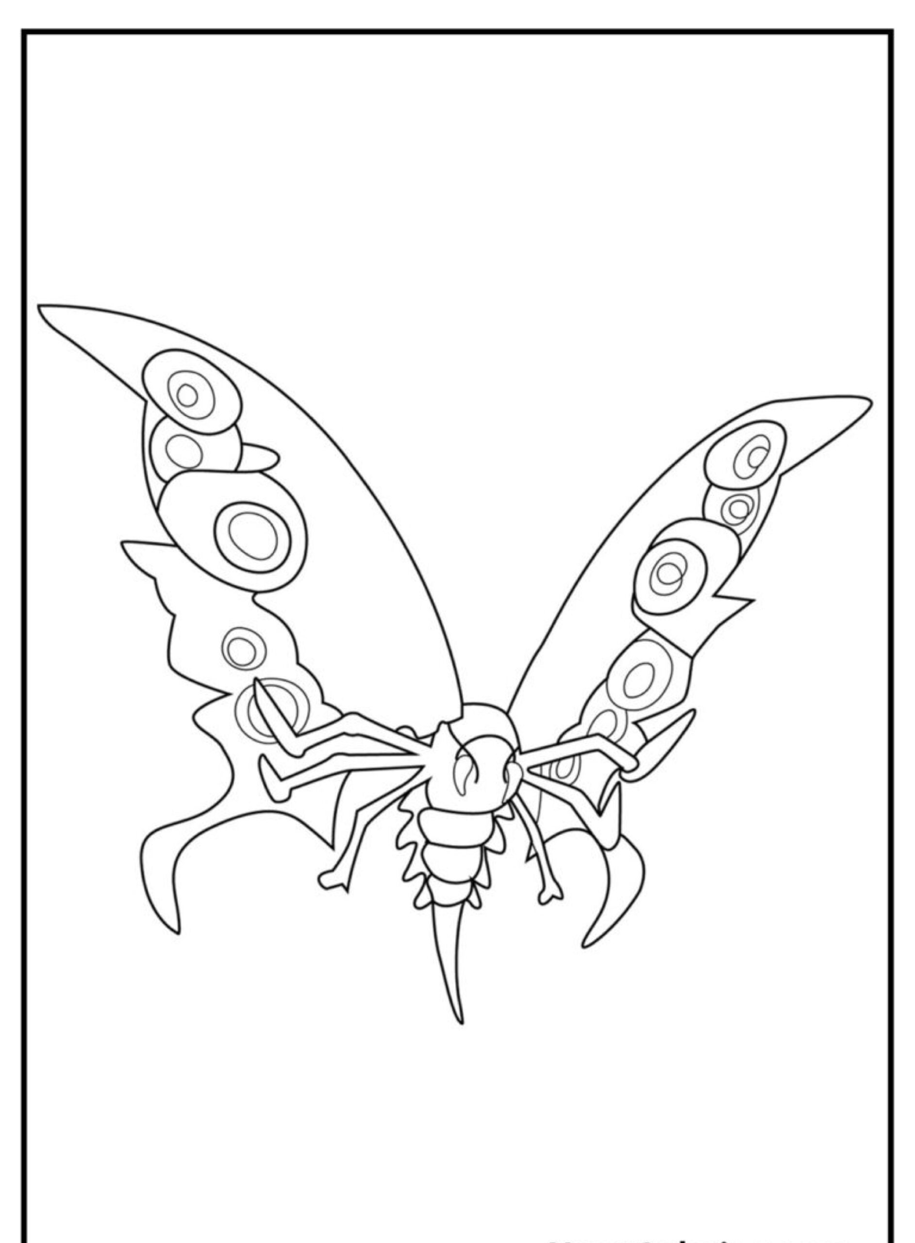 Desenho de uma borboleta com padrões intrincados de asas e asas estendidas, perfeito para quem procura desenhos para colorir. Para colorir.