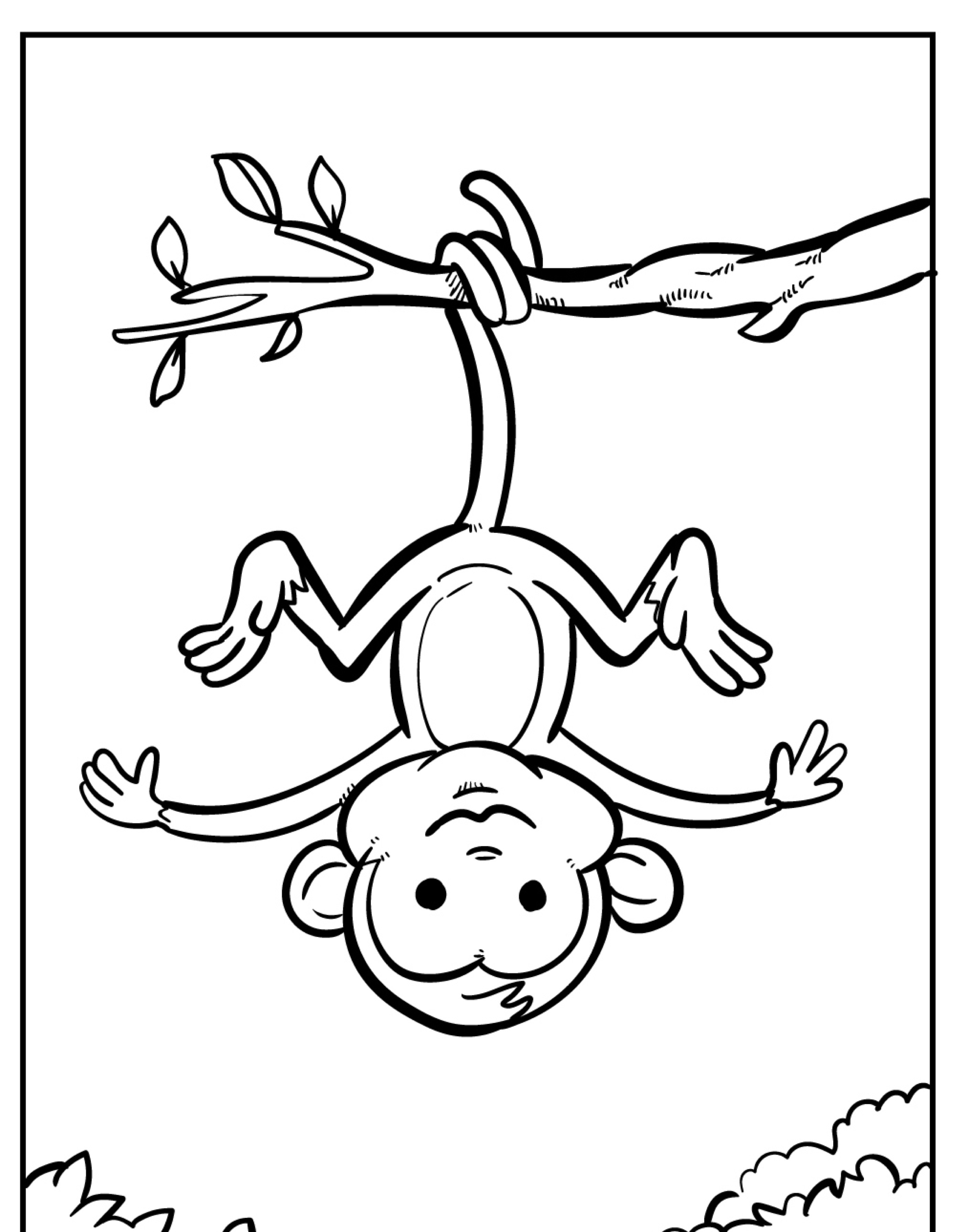 Macaco para colorir