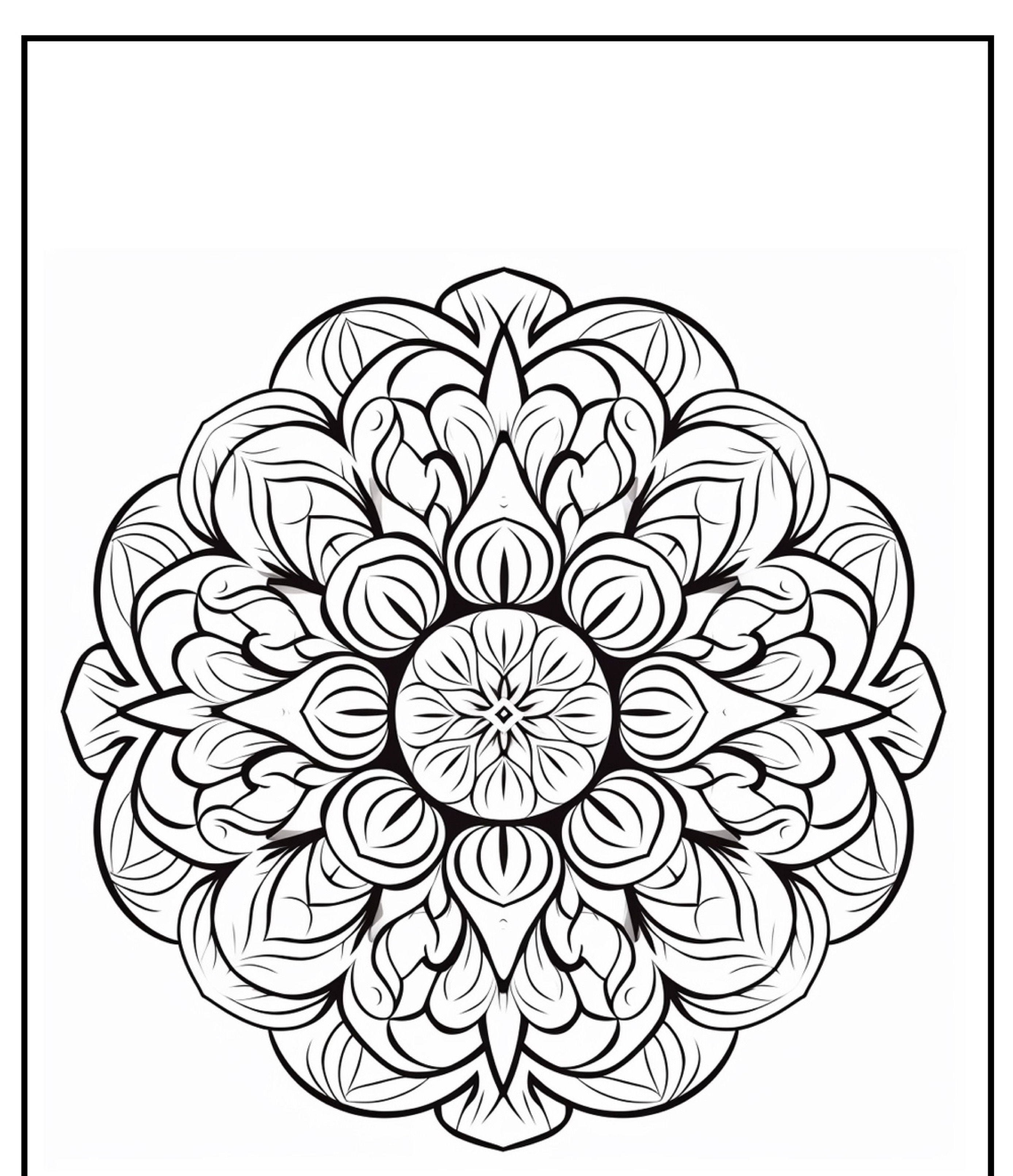 Design intrincado de mandala em preto e branco com padrões florais e de folhas, perfeito para colorir ou imprimir, emoldurado por uma borda retangular.