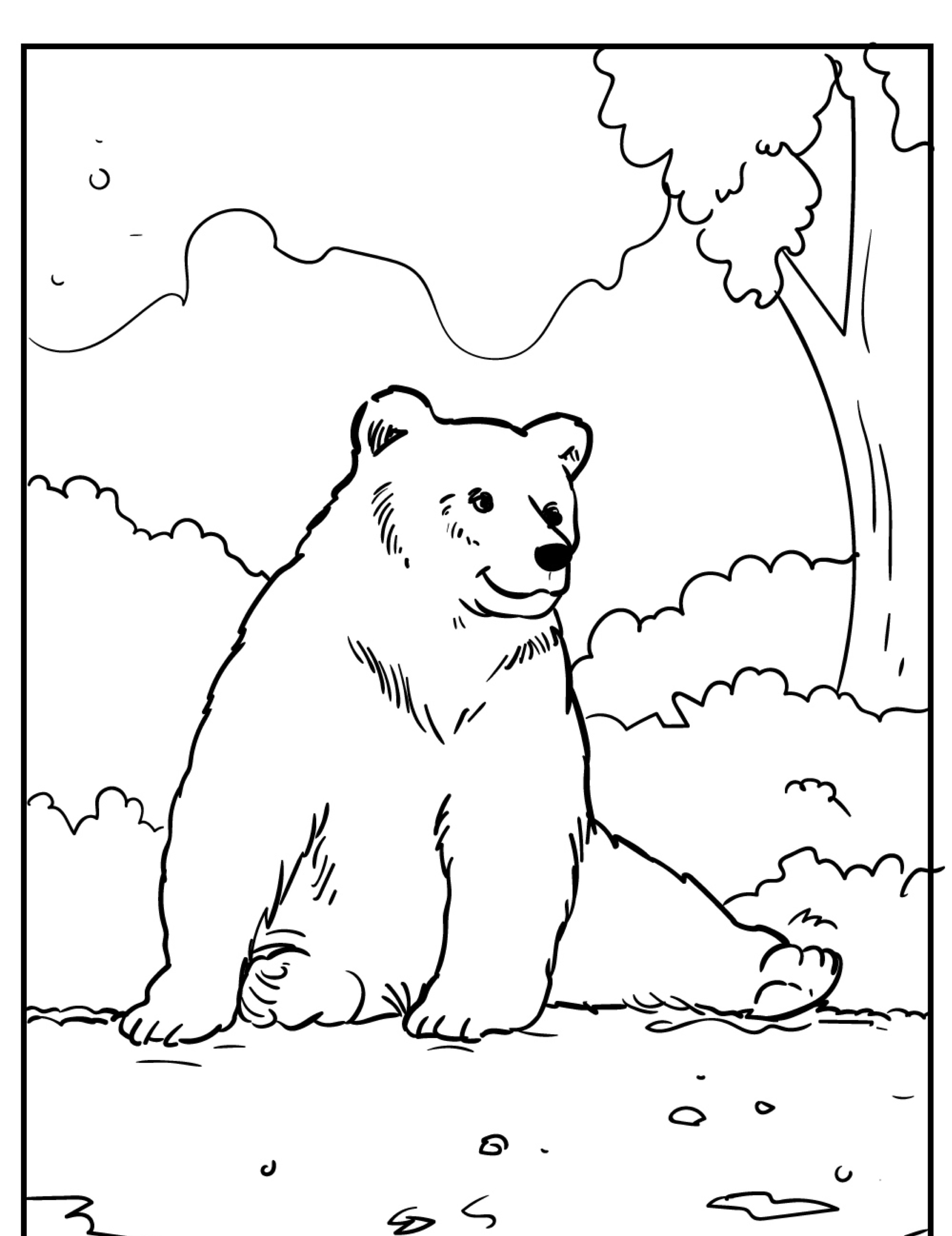 Um urso, ou urso, sentado no chão em uma floresta com árvores e arbustos ao fundo. A cena é delineada de forma simples, perfeita para quem quer colorir esse desenho encantador.