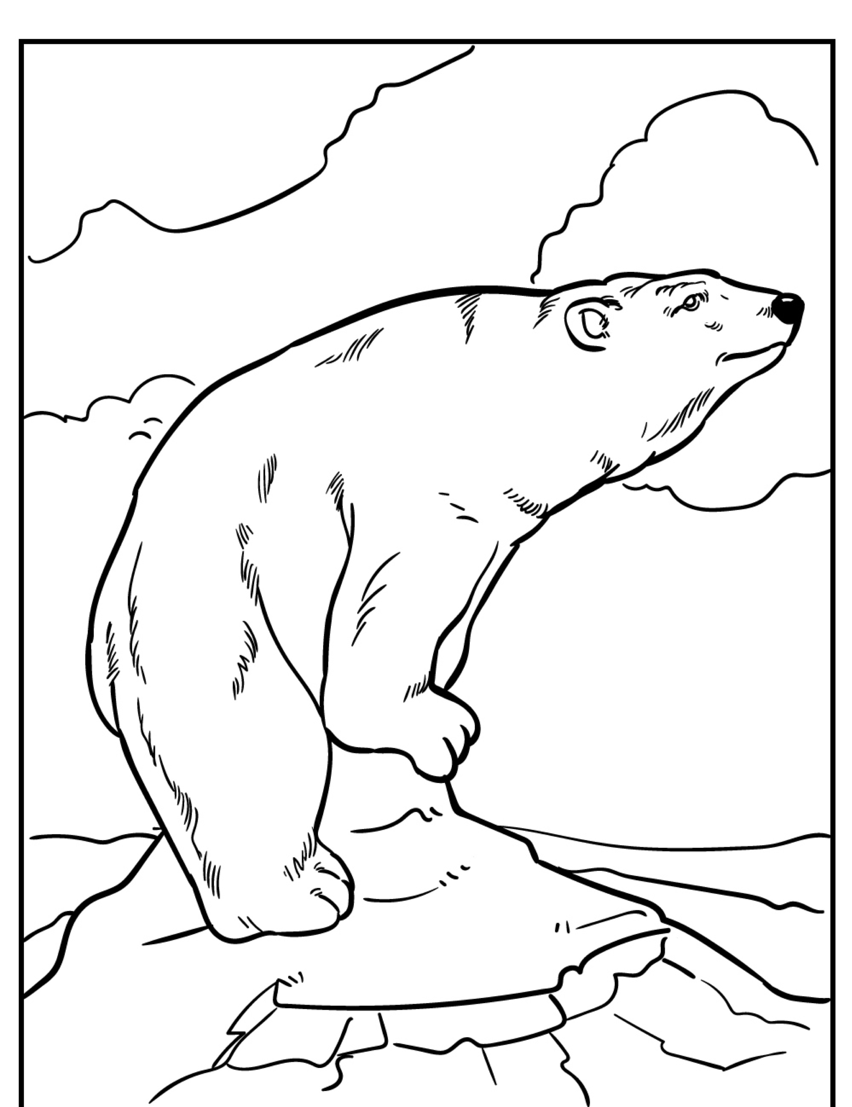 Um desenho de um urso polar em um afloramento rochoso sob um céu nublado, pronto para colorir.